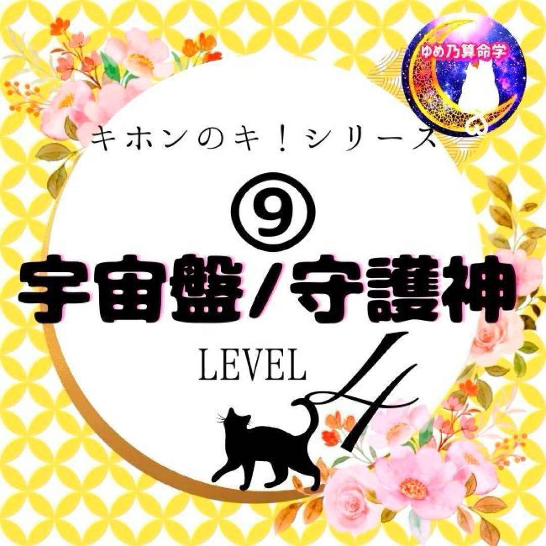 Amazon.co.jp: ゆめ乃算命学キホン⑨宇宙盤守護神基本表 レベル4