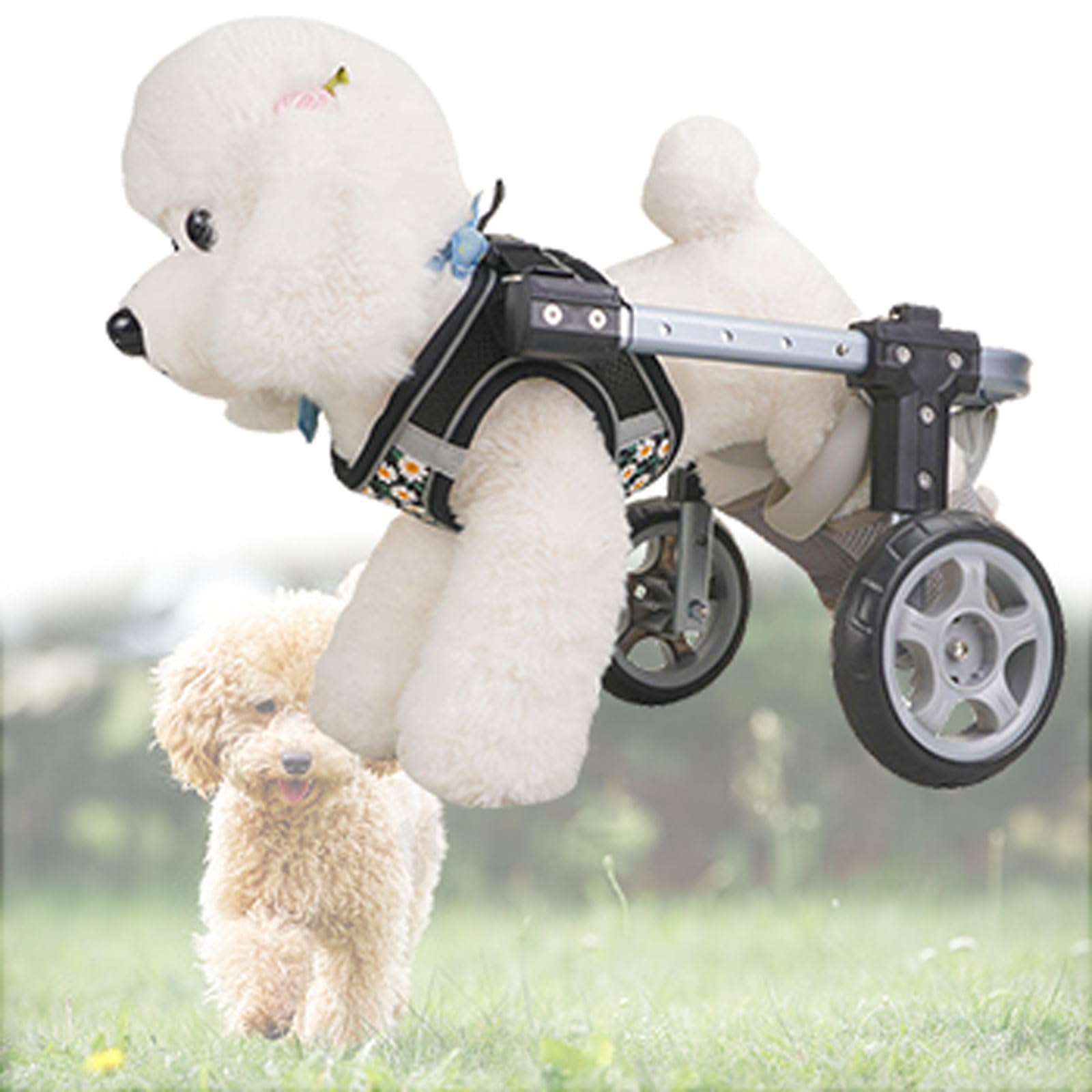 Fauteuil roulant pour chien handicapé taille M réglable et léger