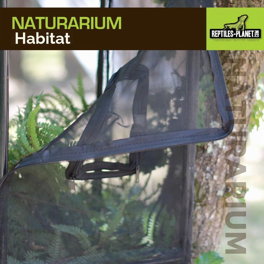 Reptiles Planet Terrarium Naturarium M 75 x 45 x 75 cm