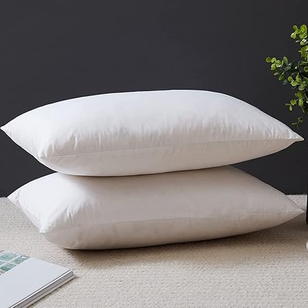 Couch Pillows Set Of Luxury Down Pillow Inserts 28x28