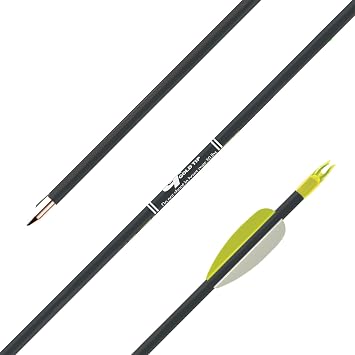 Gold Tip Fiberglass Black 29-Inch Arrows with 2.5-Inch Vanes 1/2-Dozen