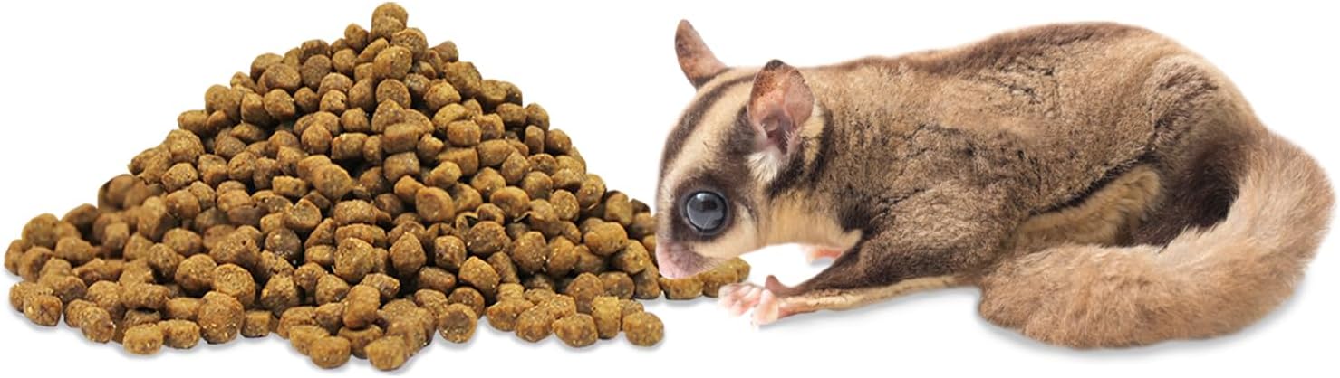 Exotic Nutrition Starter Package for Sugar Gliders - Includes Exercise Wheel, Food Assortment, Water Bottle, Food Dishes & Nest Pouch