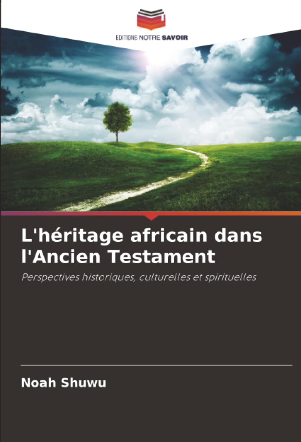 L'héritage africain dans l'Ancien Testament: Perspectives historiques, culturelles et spirituelles