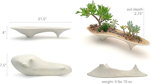 Vista 3 de Island Concrete Modern Planter long succulent planter