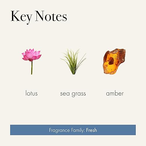 Miniatura 3 de LAFCO New York Pura - Recambio para dispositivo inteligente, Sea & Dune, paquete de 2, frasco que ofrece hasta 2 semanas de vida de fragancia,