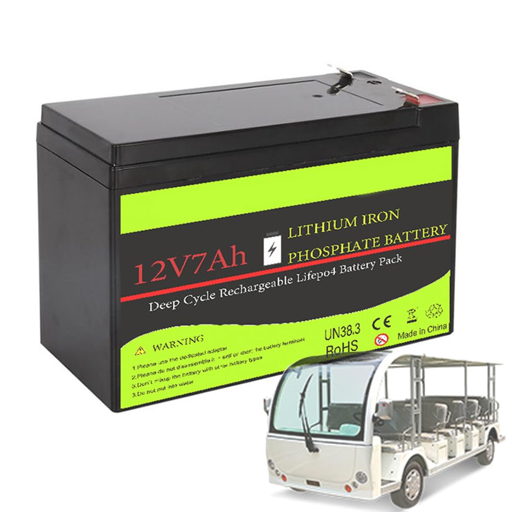 Batería de Litio de 12V LiFePO4 de 20Ah, 30Ah, 45Ah, 60Ah y 100Ah, en Lugar de baterías de Plomo-ácido con BMS para Almacenamiento de energía Solar en montacargas y RV.
