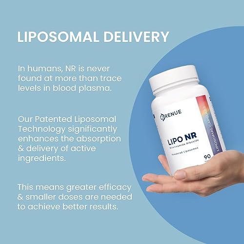 Miniatura 4 de RENUE by Science Ribosida de nicotinamida  Suplemento liposomal NAD de alta resistencia  90 cápsulas de nicotinamida - 300 mg de ribósido de