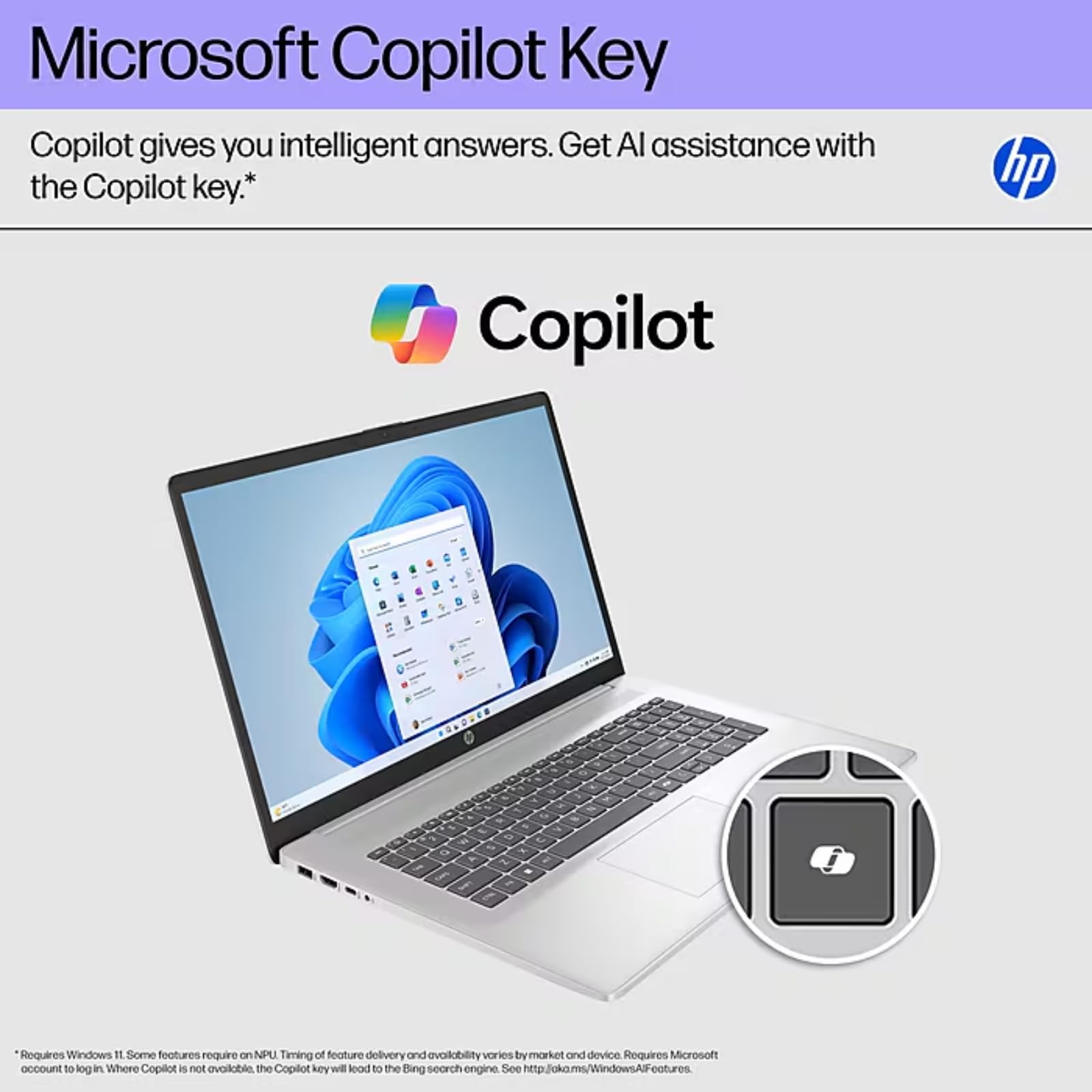 Amazon.com: HP Flagship 17 FHD Laptop for Student & Business