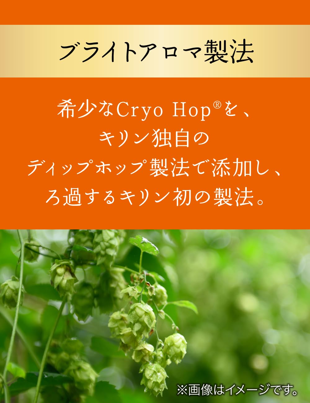 Amazon.co.jp: GOOD ALE(グッドエール) キリン プレミアム ビール500ml