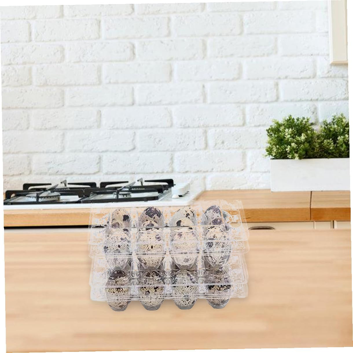 BESPORTBLE 70pcs Quail Egg Carton Tray with Shockproof Design for Safe Transport and Convenient Access Plastic Container for Farm Deliveries and Home Kitchens