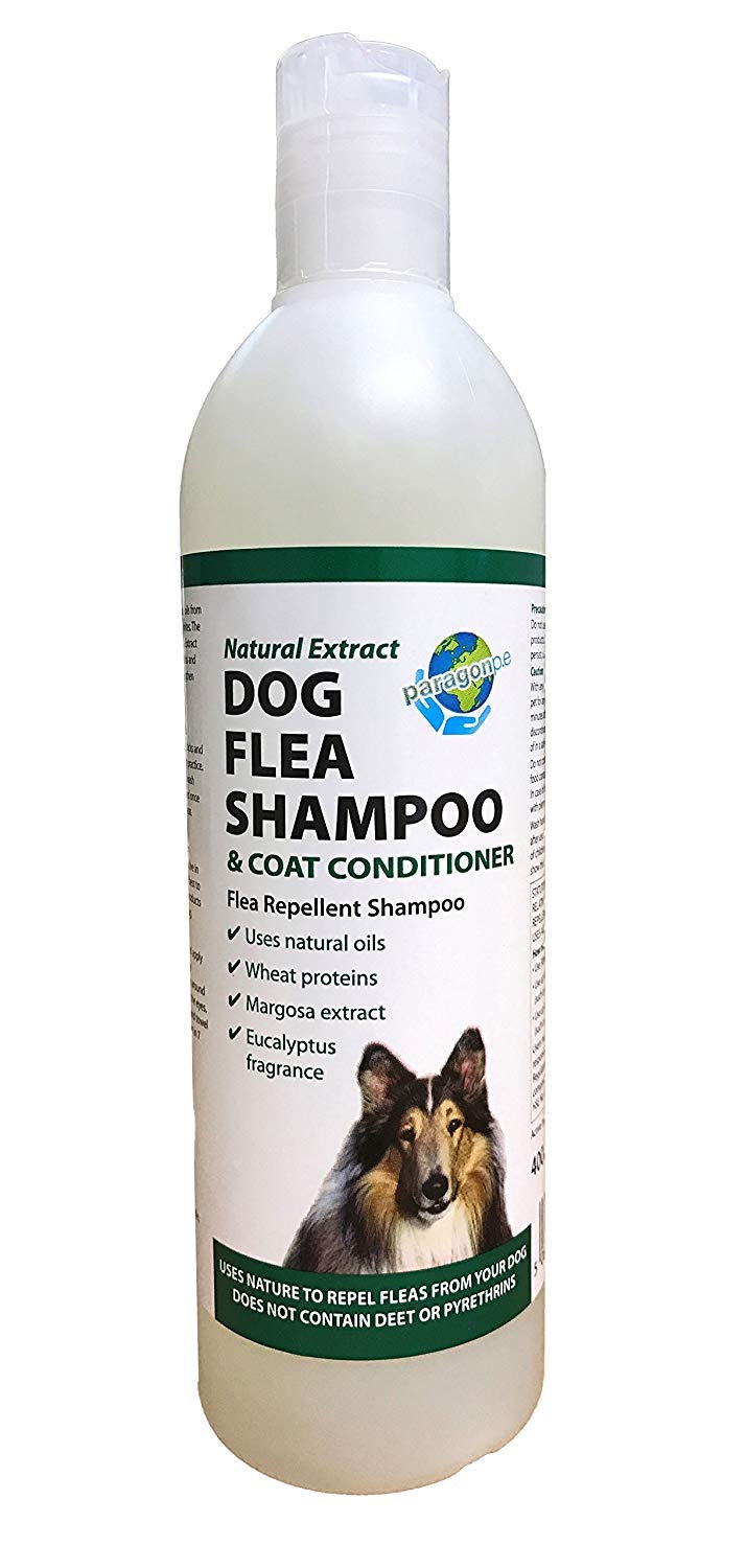 Gnc Flea And Tick Shampoo Reviews atelieryuwa.ciao.jp