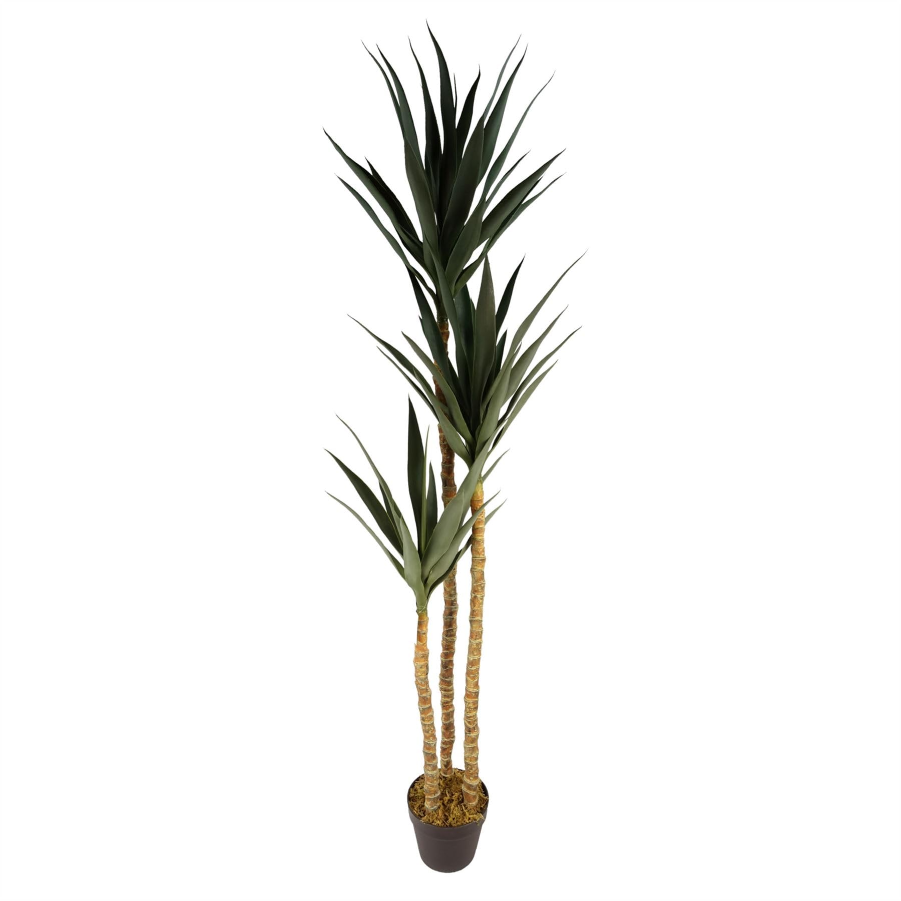 Artificial Palm Tree Realistic Large Natural 170cm (6ft) Premium Indoor Home