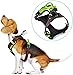 SmilePowo Dog Harness Mount Chest Back Strap Belt Pet Vest for GoPro Hero 10 9 8 7 6 5 4 3 Max Black Hero 2018 Session Fusion Silver White Insta360 DJI AKASO DBPOWER Action Camera for Dog Night Walk