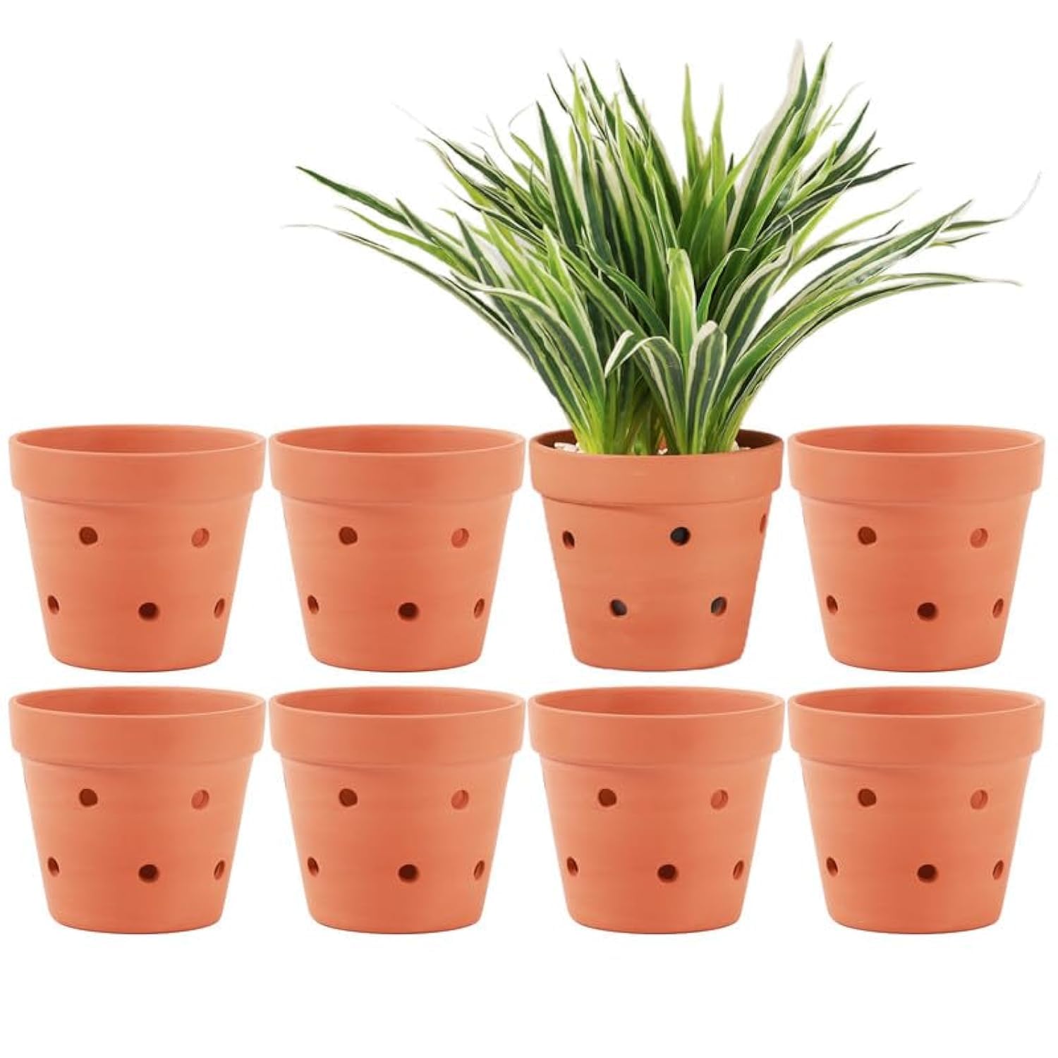 plant pot lights GREENSTELL Plant Stand with Grow Lights, Half Moon 7 Tiered Metal Plan   Greenstell