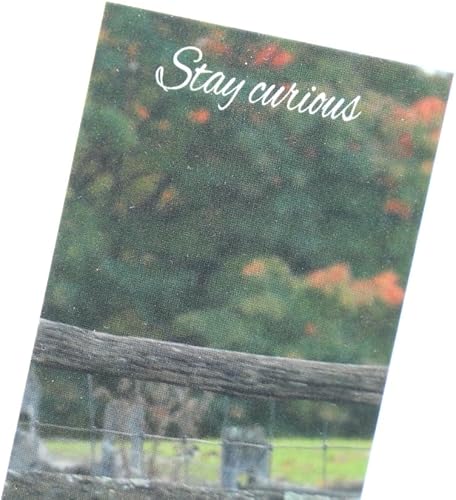 Miniatura 4 de Curious Sheep Bookmark, Original Photography, Book Lovers, Student, Teacher Gift, Set of 1