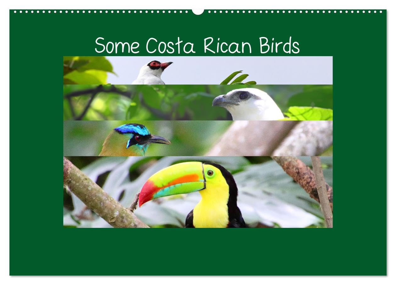 Some Costa Rican Birds (Wall Calendar 2027 DIN A2 landscape), CALVENDO 12 Month Wall Calendar: Enjoy a little of the great biodiversity you can find in Costa Rica