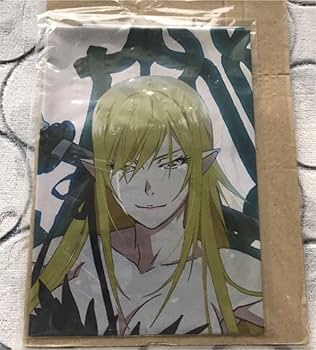 Amazon.co.jp: 【Amazon.co.jp限定】 傷物語 III冷血篇 B2布