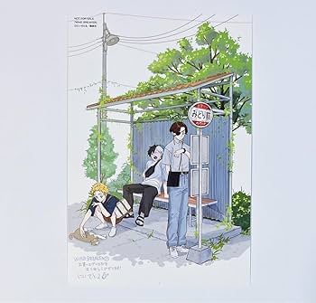 WIND BREAKER　ウィンブレ　イラストカード　特典　ポストカード 12枚 Amazon.co.jp: WIND BREAKER ウィンドブレイカー 12巻 特典