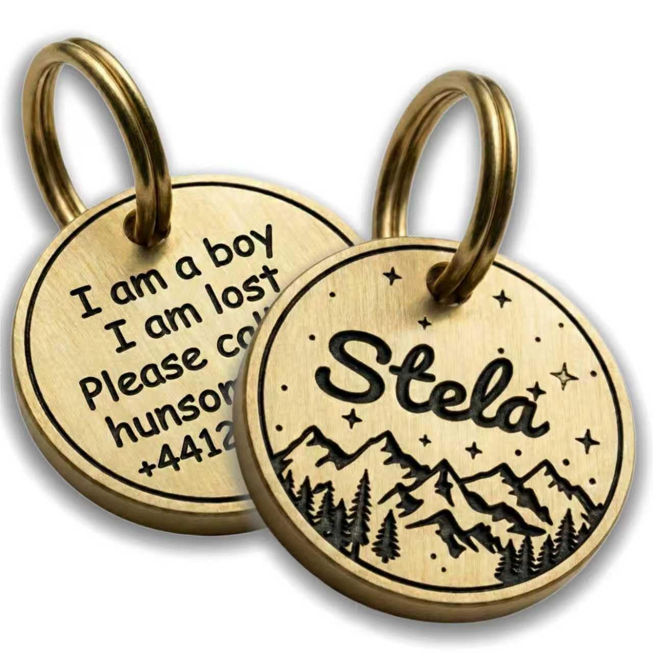 Deep Engraved Solid Brass Pet ID Tag, 2mm Extra Thick Personalized Dog Tags for Large Dogs & Small Cats, Waterproof Rust-Proof,Fashion Gift, 4 Sizes (Silver/Brass)