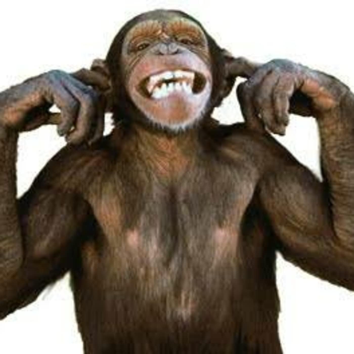 steve o'mahoney's Podcast