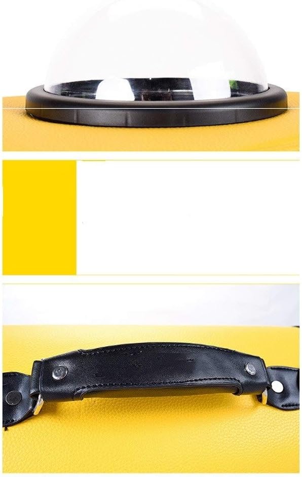 Soft Sided Portable Airplane Tote Bag Backpack with