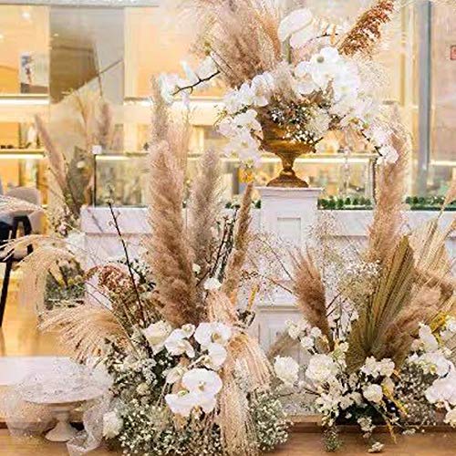 Pampas Grass, 5Pcs Natural Dried Flowers Phragmites Bouquet Artificial Flowers for DIY Home Kitchen Wedding Table Floral Arrangements Vase Decor (B)
