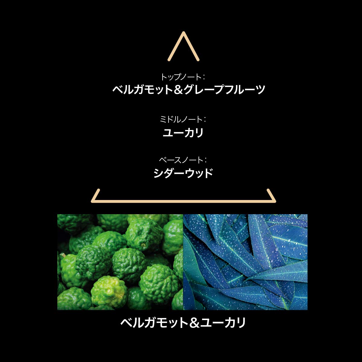 Amazon | 【ル クヴォン メゾン ド パルファム】リマーカブル サンタ