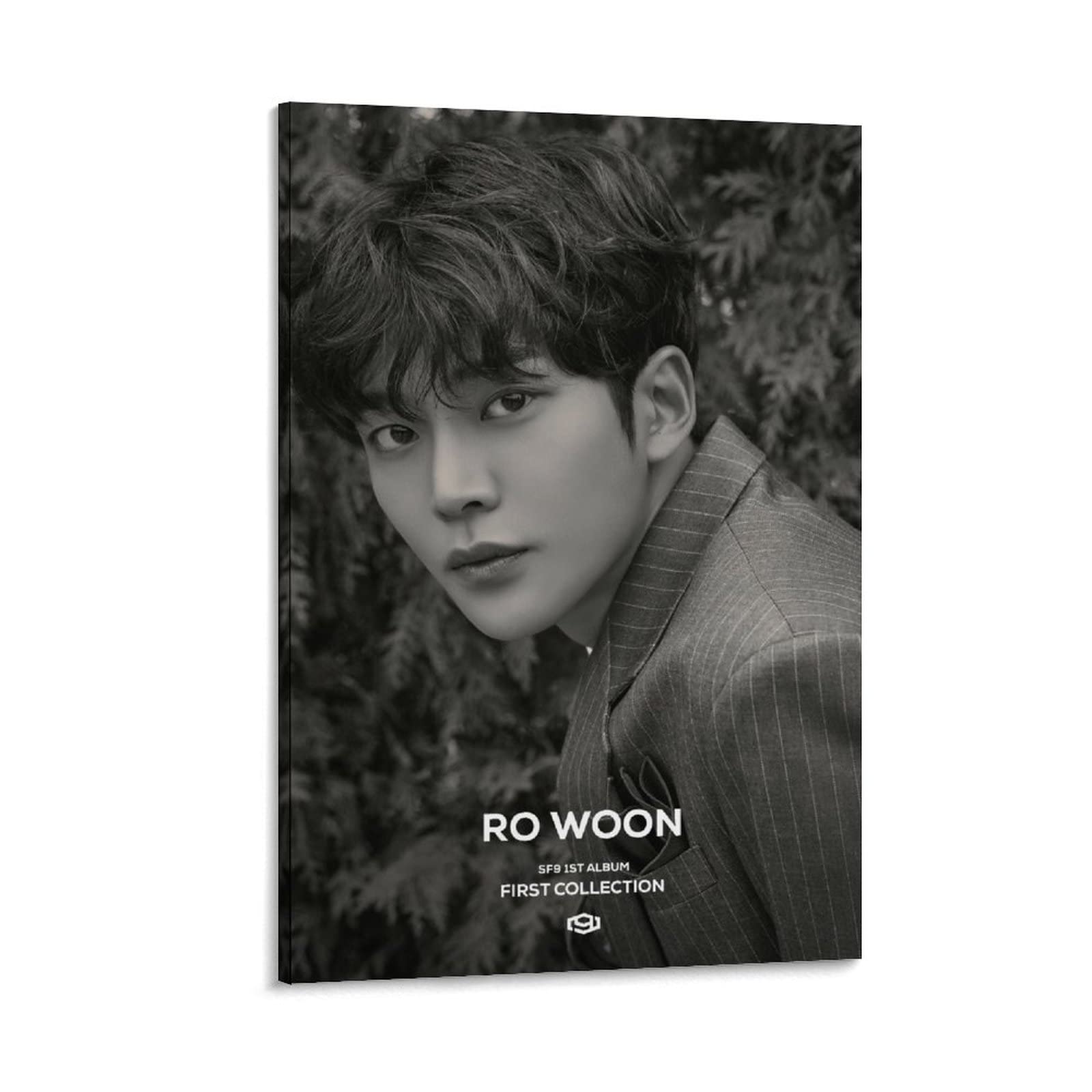 Rowoon SF9 『 First Collection 』Good Guy Ver.2 Concept Kpop Boy Group Band Idol Cover Art Retro Genre Canvas Poster Bedroom Decor Sports Landscape Office Room Decor Gift 08x12inch(20x30cm)