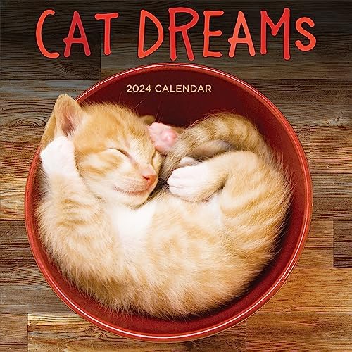 2025 Cat Dreams Wall Calendar - Large Grid Monthly Planner For Home & Office Organization