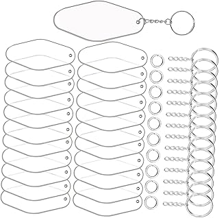 VILLFUL 30 Sets Key Tag Keychains for Car Keys Ring Keychain Blank Keychains Clear Bag Keyring Blank Photo Keyrings Key Tags Key Decor Key Pendant Identification Tags CD Oval