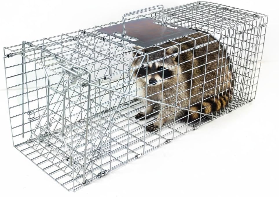 Humane Catch and Release Animal Trap, Large Live Animal Trap Cage Humane One-Door Solid Steel Catch and Release Rodent Cage for Raccoon, Rabbits, Stray Cats, Squirrel, Groundhogs, Opossums, Armadillos