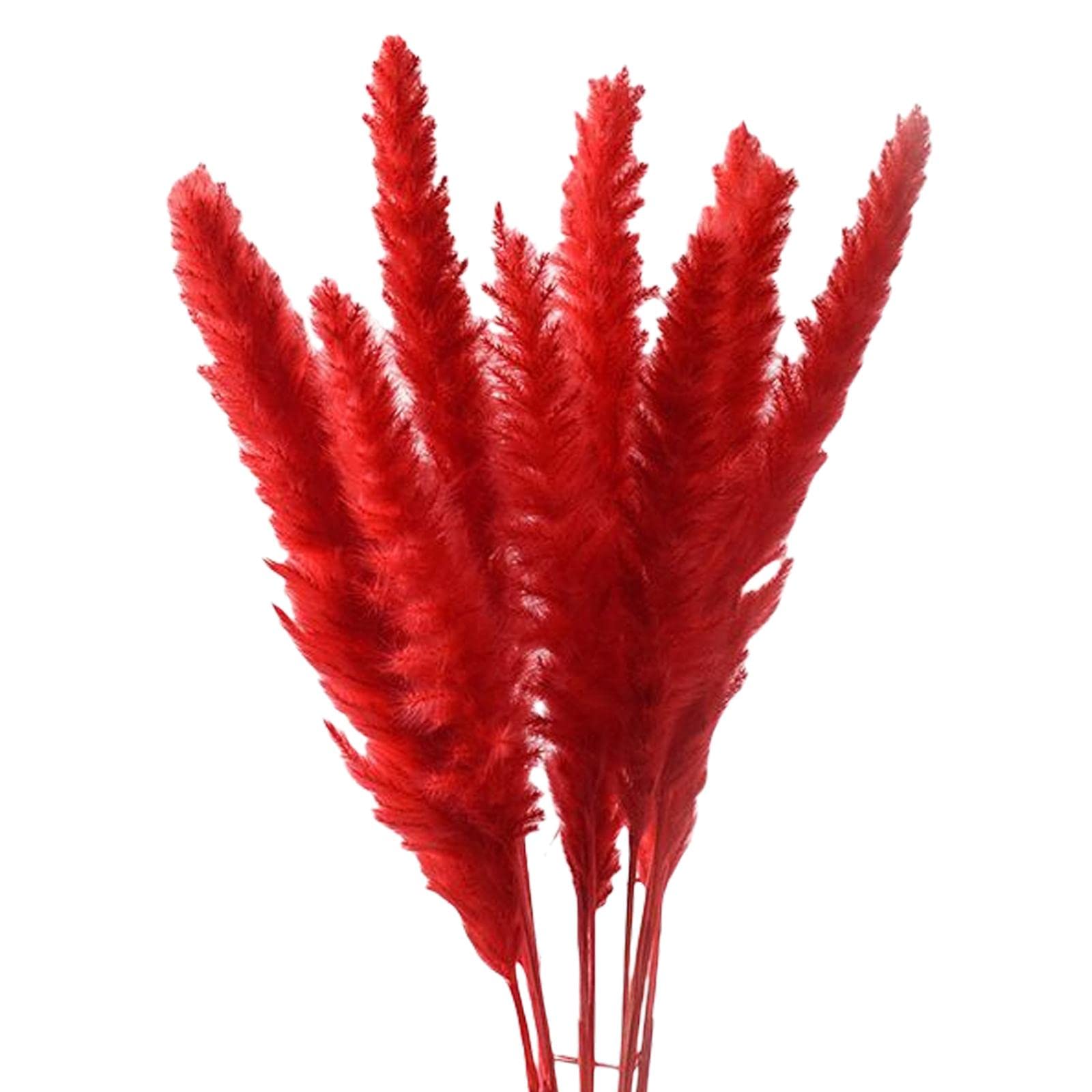 THE STYLE SUTRA 15x Dried Pampas Grass Reed Flowers Bunch Home Party Gift Boho Decor Red-image-37
