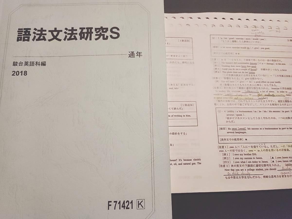 Amazon.co.jp: 駿台 竹岡先生 語法文法研究S テキストプリント