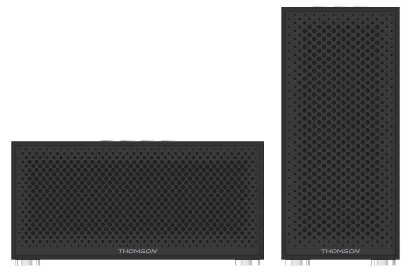 Thomson Pack de 2 Bases/Enceintes Satellite Noir