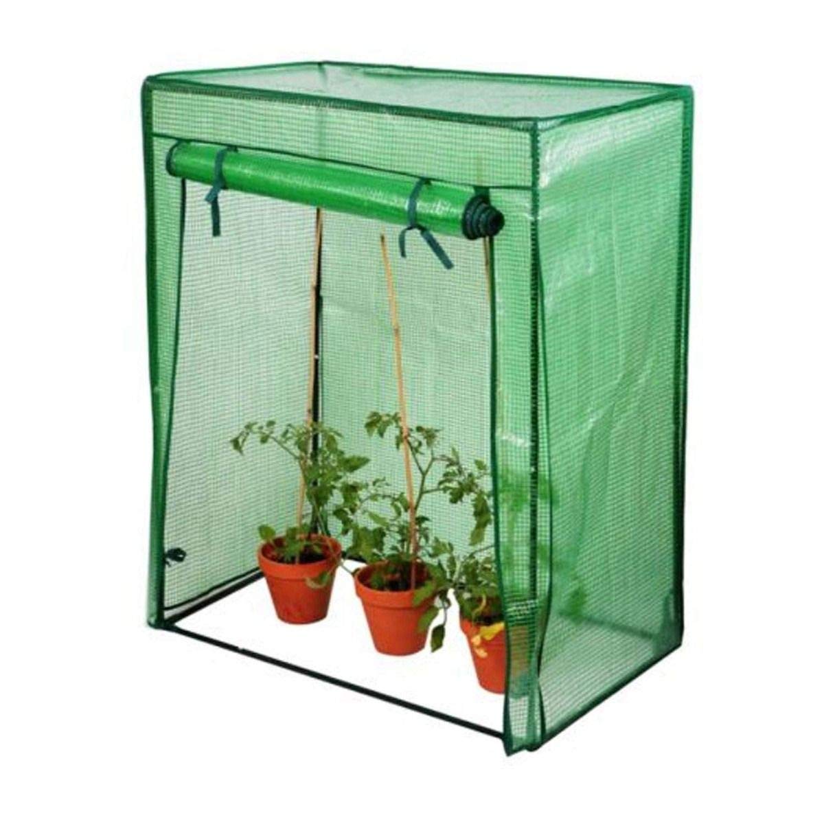 Greenhouse Clear PVC or Mini Pop Up Greenhouse Perfect for Growing Potted Plants, Growing Seeds, Herbs, Seedlings, Flowers, Gardening Indoor or Outdoor in Any Season (Tomato Greenhouse)