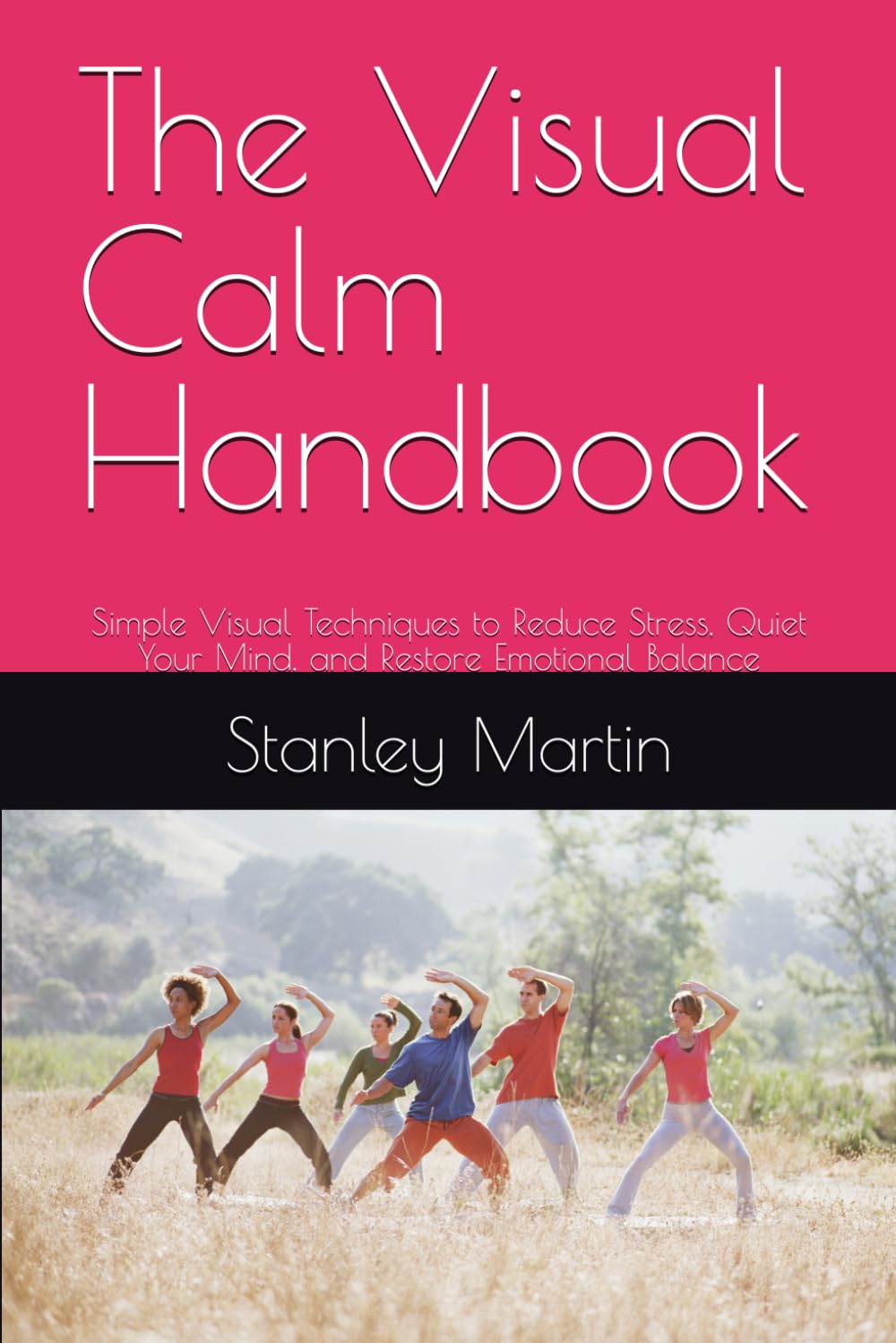 The Visual Calm Handbook: Simple Visual Techniques to Reduce Stress, Quiet Your Mind, and Restore Emotional Balance (Mind Reset Series)