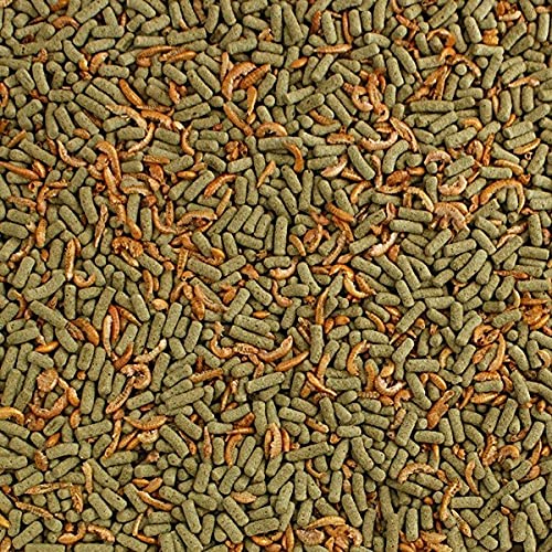 ALCON RACAO PARA REPTEIS REPTOMIX 200G