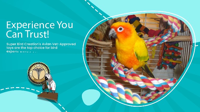 Super Bird Creations SB1199 Sola Balsa Stack Bird Toy - Bird Enrichment Toys, Wooden Bird Toys for Small/Medium Bird Size, Ideal for Parakeets and Cockatiel, Natural Bird Toys for Cage Play - image 8
