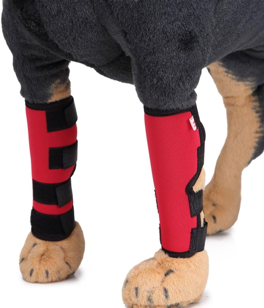 Amazon Ranphy ペット 後脚 ブレース 膝保護 パッド 小型犬 中型犬 大型犬 サポーター 猫用 プロテクター ラップ 傷害予防 圧縮矯正は傷つき 捻挫 関節炎 調節可能 ペア 3色 レッド L Ranphy かゆみケア 通販