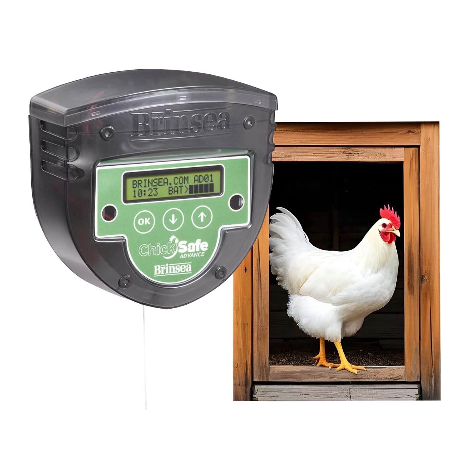 Ouvre-porte automatique de poulailler Brinsea ChickSafe Advance pour week-ends sereins