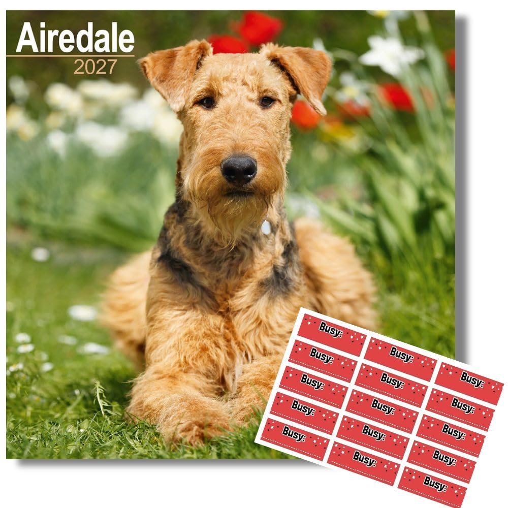 Avonside Airedale Terrier 2027 Square Calendar with Organisational Stickers