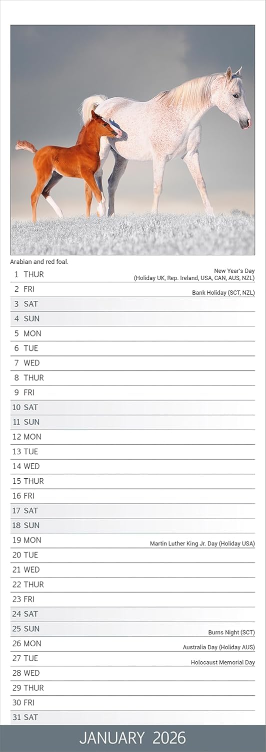 2026 Horses Calendar - Silver Creek Press - View #9
