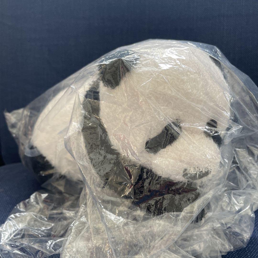 Amazon.co.jp: 上野動物園 香香 パンダぬいぐるみ 小さいシャンシャン