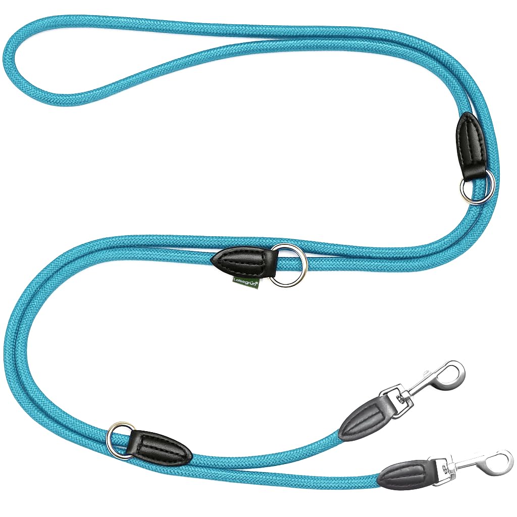 Leisegrün Verstellbare Hundeleine 3m - Robuste Nylon Doppelleine für mittelgroße bis große Hunde, 200kg Zugkraft, 2 Karabiner - Hellblau