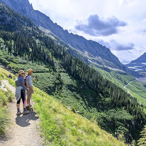 Glacier Park Bear Attack, Highline Trail Tragedy, DUI Crash & Flathead County Budget Cuts cover art