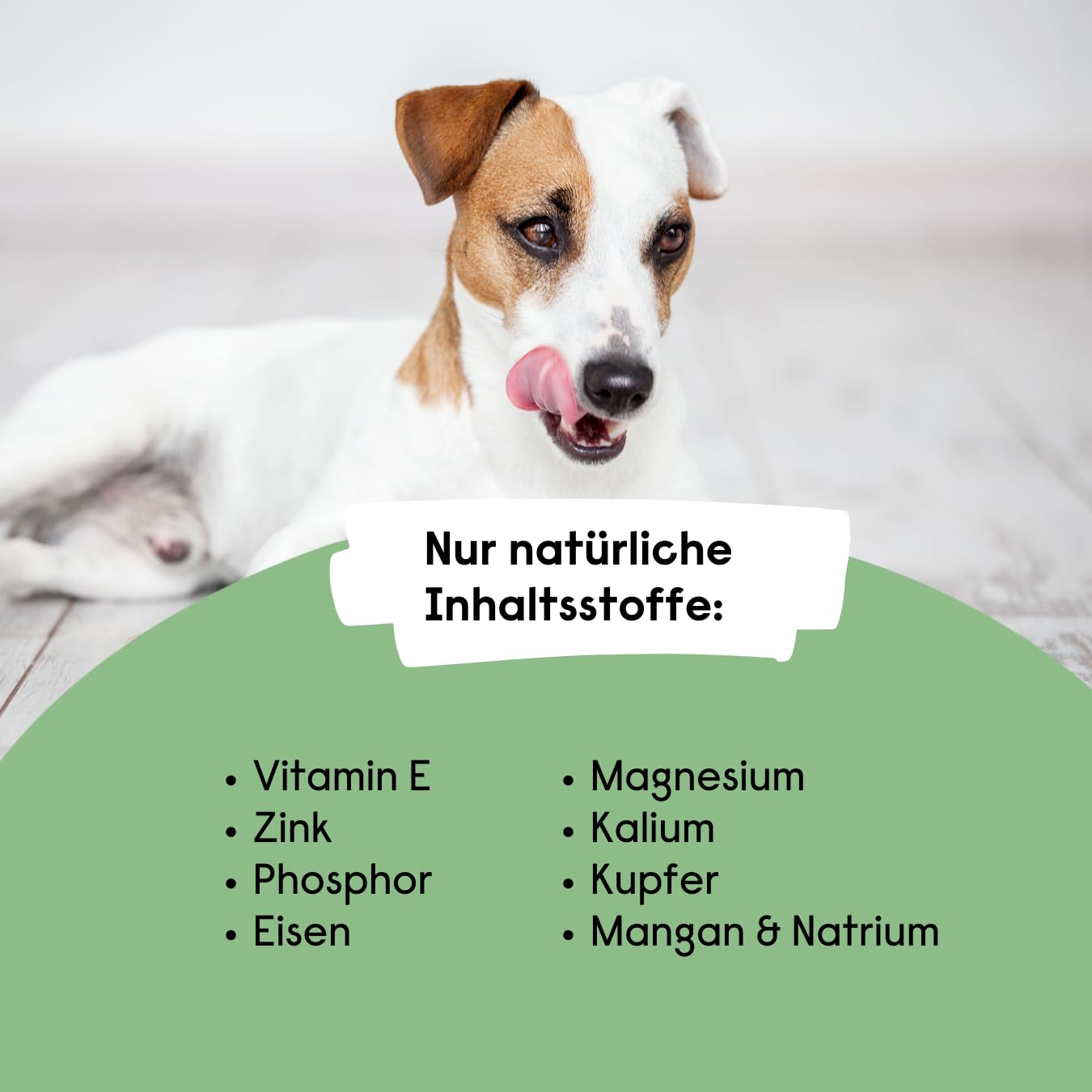 Hanfsamenöl, Kaltgepresst, natürliche Futterergänzung, Omega 3, Omega 6 Fettsäuren für Hunde, Vegan, Österreichisches Qualitätsprodukt (4 x 250ml)