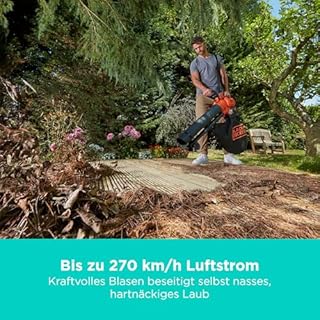 BLACK+DECKER 36V kabellos Laubbläser-Staubsauger und Laubhäcksler, mit 45-Liter-Auffangbeutel und 2,5-Ah-Lithiumbatterie, BCBLV3625L1-QW
