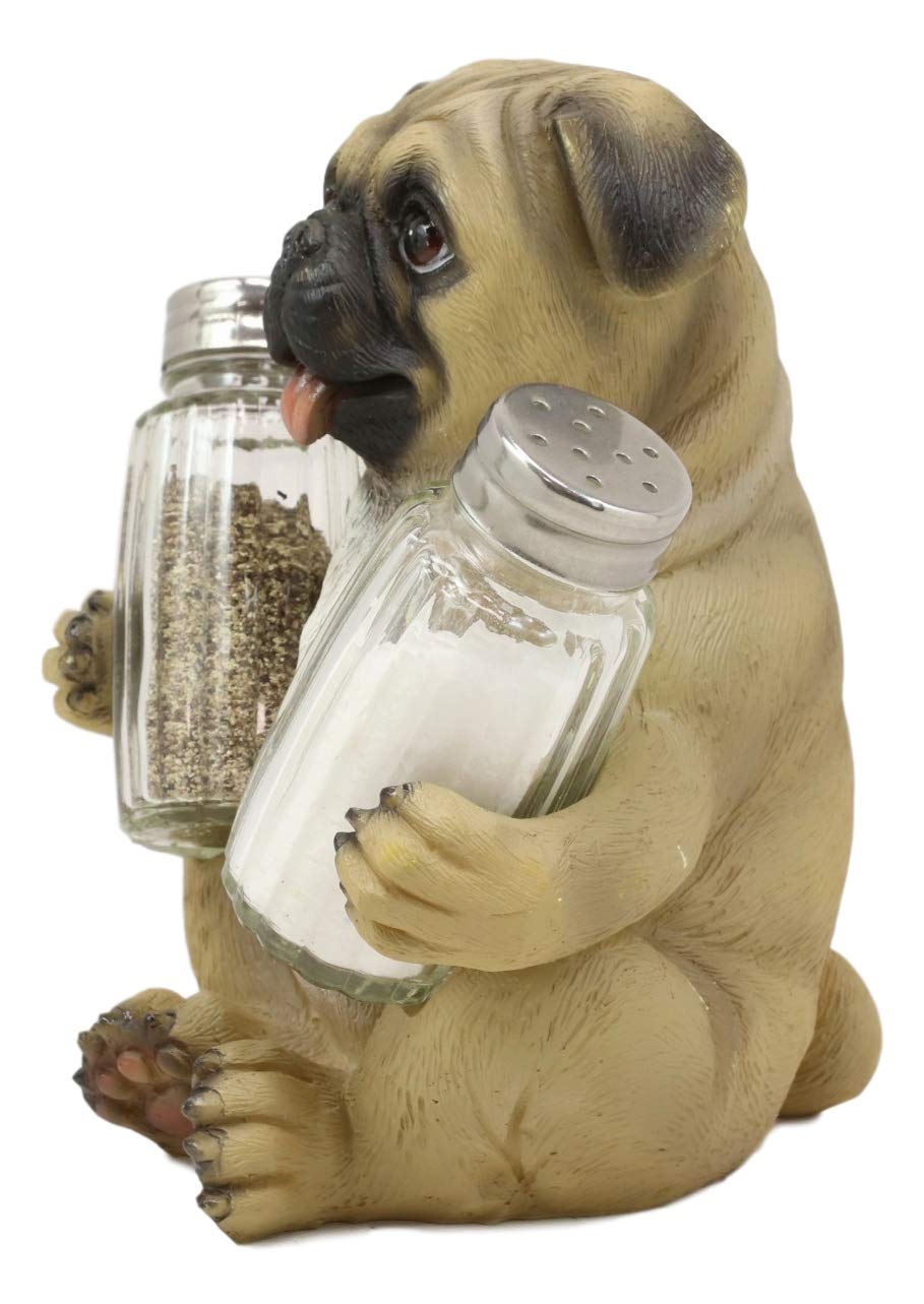 Estatua decorativa de Ebros con diseño de perro salero y pimentero, de resina, de 6.25 pulgadas de altura, para mascotas, cachorros y amantes de la cocina