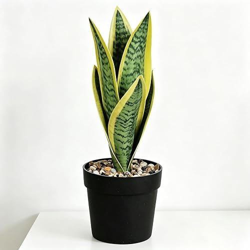Mini plants Small Artificial Snake Plant in Black Pot 10.5"