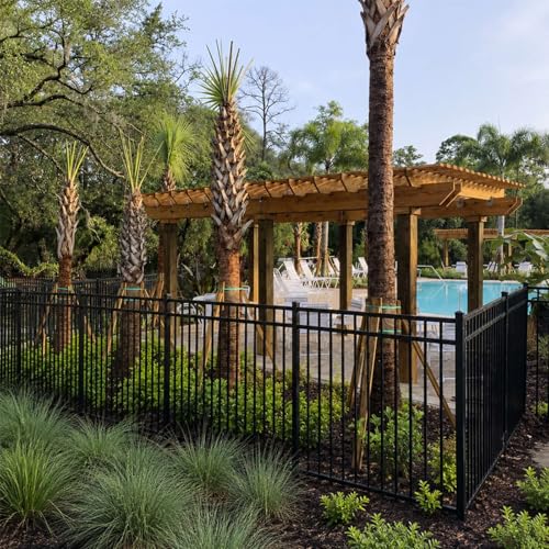 Pool Barrier Safety: The Small Details That Matter Most